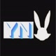 YNN         FW