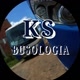 KS.BUSOLOGIA