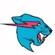 MR•BEAST