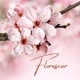 Florescer 🌸
