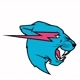 Mr beast