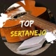 TOP SERTANEJO 🤠🥰