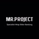 Mr Project