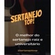 Sertanejo top 🎶