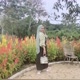 Syifa alina