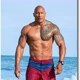 THE ROCK14