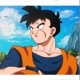Gohan edit