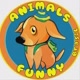 animalsfunnybrasil