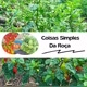 Coisas Simples Da Roça 🌱
