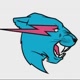 Mr.beast