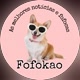FofoKão