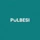 Pulbesi