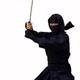Ninja
