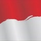 ✘©𒈞☻INDONESIA☹𒈞®✔