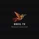 Bocil TV
