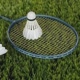 PB ASAL BADMINTON