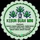 Kebun Buah Mini