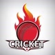 World Cricket