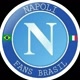 Napolibrfans