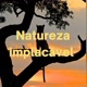 NATUREZA IMPLACÁVEL