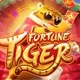 fortunetiger