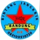 Bintang Jangkrik