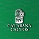 Catarina cactos 🌵🌵
