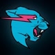 MrBeastFans