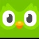 Duolingo Br