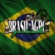 BRASIL AGRO GURIZADA 🇧🇷