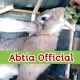 Abtia Official