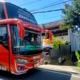Busmania