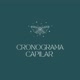 cronograma capilar