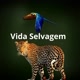 Vida Selvagem
