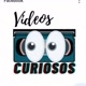 Vídeos Curiosos