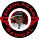 Simulação Radical