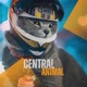 Central Animal 🐈‍⬛