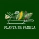 Planta na panela