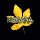 NAGARA🍁