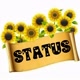 *Vídeos_ para_ Status