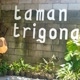 Taman Trigona （NBF）