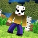 MINECRAFT GAMER PLAYER games