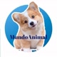 MundoAnimal