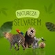 Natureza Selvagem 🐆