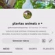 Plantas animais e+