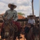 PAI E FILHO DA FAZENDA 🤠🐂