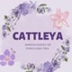 Cattleya Art