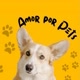 Amor Por Pets