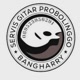 SERVIS GITAR BANG HARRY PROBOLINGGO
