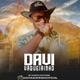 DAVI VAQUEIRINHO